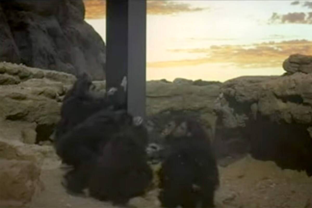 Fotograma de "2001: Odisea del espacio"