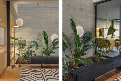 En el muro de hormigón, apliques 'Bahía' (Foscarini). Las especies tropicales van en busca del sol. Alfombra (Vanina Mizrahi).