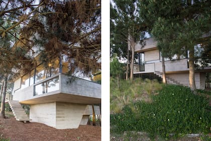 La casa se levantó en la cota de mayor altura de un lote que desciende a medida que se aleja de la calle.
