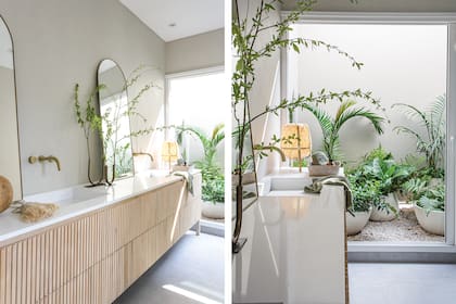 Helechos, seaphortia, Cissus, Spathiphyllum, las especies en macetas de hueso que eligió Vivero Spinelli para este lugar soñado.