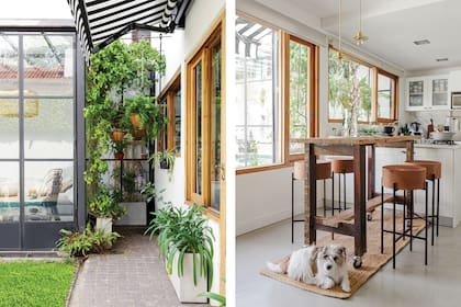 El jardín de helechos y trepadoras (Itas Flowers) ofrece una imagen verde desde el interior de la casa y funciona como filtro sutil del quincho transparente.