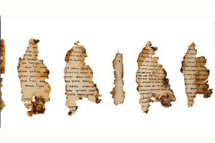 Fragmento del pergamino del Templo, conservados en el Museo de Israel