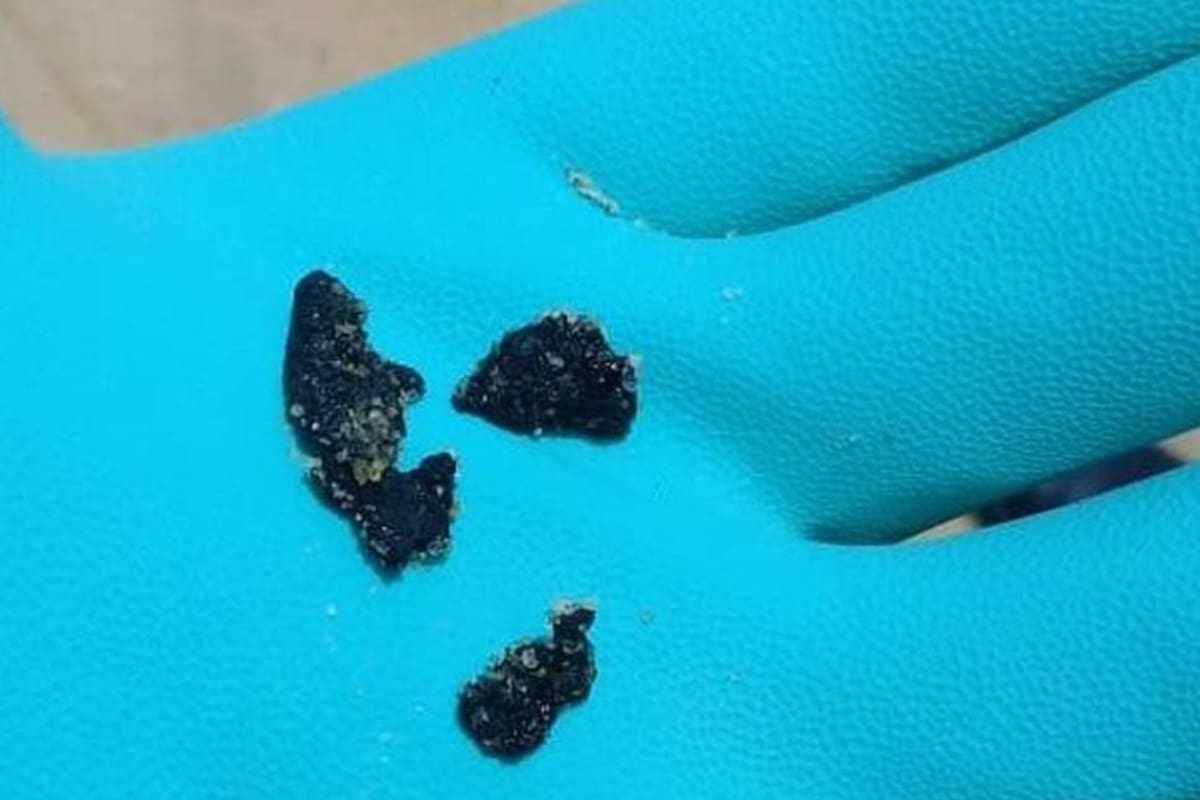 Fragmentos de petróleo encontrados en São João da Barra