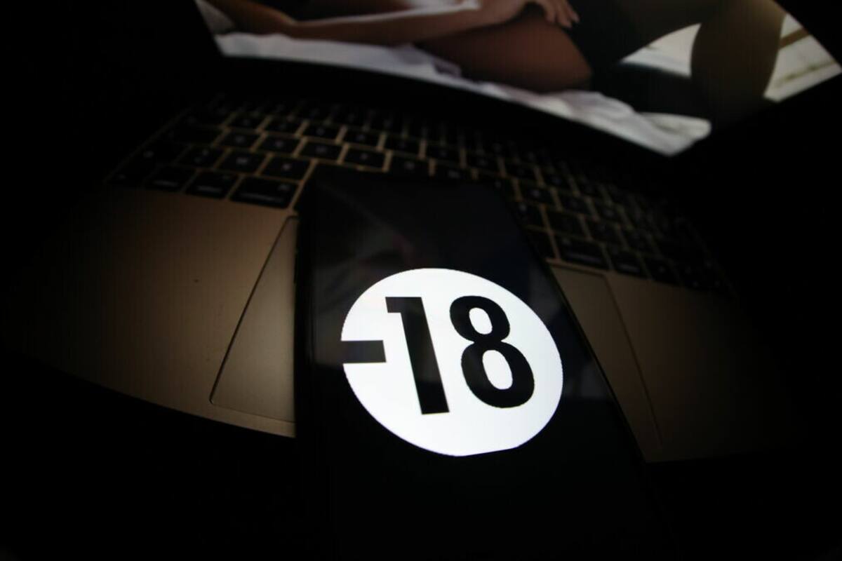 Francia implementará un dispositivo para bloquear realmente el acceso a los menores a los sitios porno