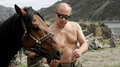 Vladimir Putin todavía pasa por el "ritual" de las elecciones, dice Fukuyama
