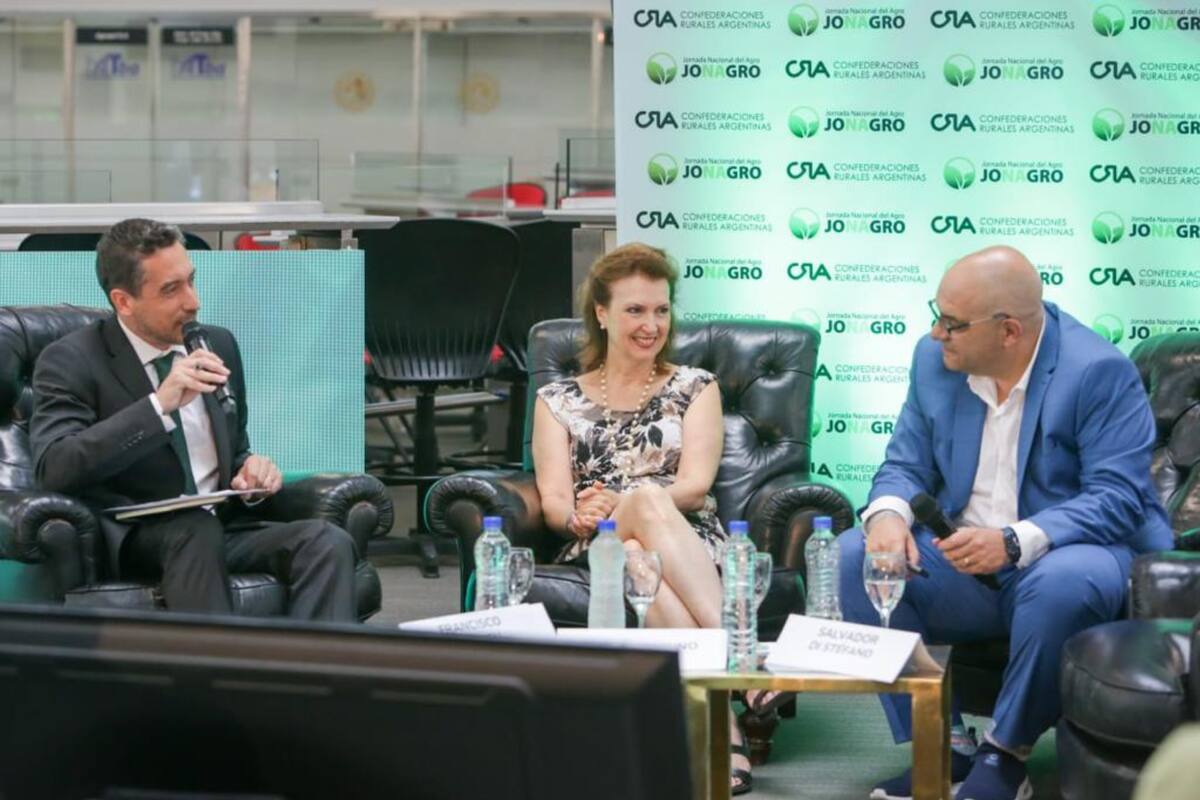 Francisco Jueguen (LA NACION), Diana Mondino y Salvador Di Stefano; Claudio Zuchovicki estuvo vía zoom