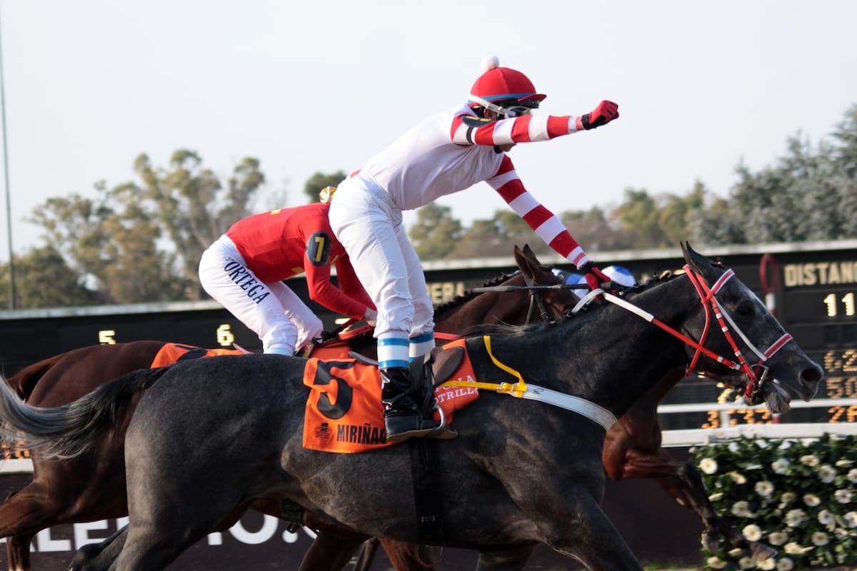 Francisco Leandro Gonçalves celebra el triunfo en la Polla ante Roman Joy, que volverá a ser un duro rival en el Jockey Club