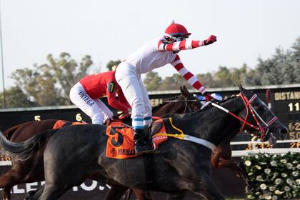 Francisco Leandro Gonçalves celebra el triunfo en la Polla ante Roman Joy, que volverá a ser un duro rival en el Jockey Club