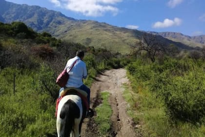Francisco López tiene 61 años y con su caballo visita las casas de difícil acceso de la sierra para llevar la vacuna. Hace un promedio de quince aplicaciones diarias.