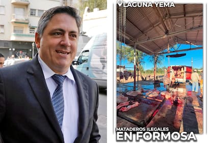 Francisco Paoltroni distribuyó fotos en la denuncia que realizó