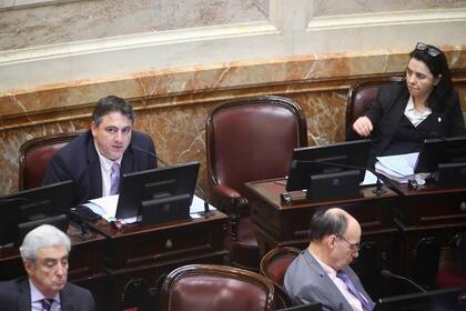 Francisco Paoltroni: "Se sabía que Victoria Villarruel iba a desempatar"