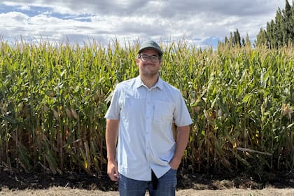 Francisco Pili, productor del Alto Valle, impulsó un proyecto agrícola en una chacra que anteriormente estaba plantada con pera Williams. Como él, otros productores apostaron por el maíz en una provincia donde ya hay 24.000 hectáreas según datos oficiales