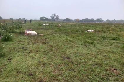 Francisco Pozzi, propietario del campo asaltado, señaló que la situación de inseguridad ha empeorado en los últimos meses y que muchos productores se sienten desprotegidos