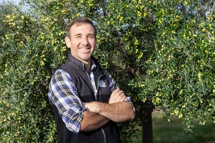 Franco Tamburo de Finca Oliva Olivos.