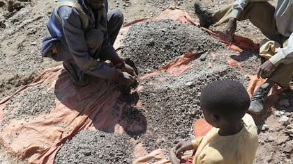 François y su hijo Charles (13) ordenan las piedras extraídas de una mina de cobalto antes de ir a un intermediario de minerales