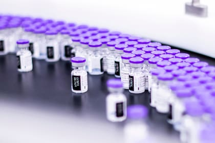 Frascos de la vacuna de Pfizer-BioNTech contra el COVID-19 listas para su empaque en las instalaciones de la farmacéutica en Puurs, Bélgica