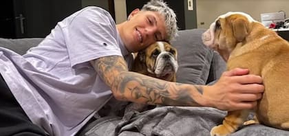Freko y Burrows, los perros de Garnacho que fueron encontrados por una fanática del Manchester United