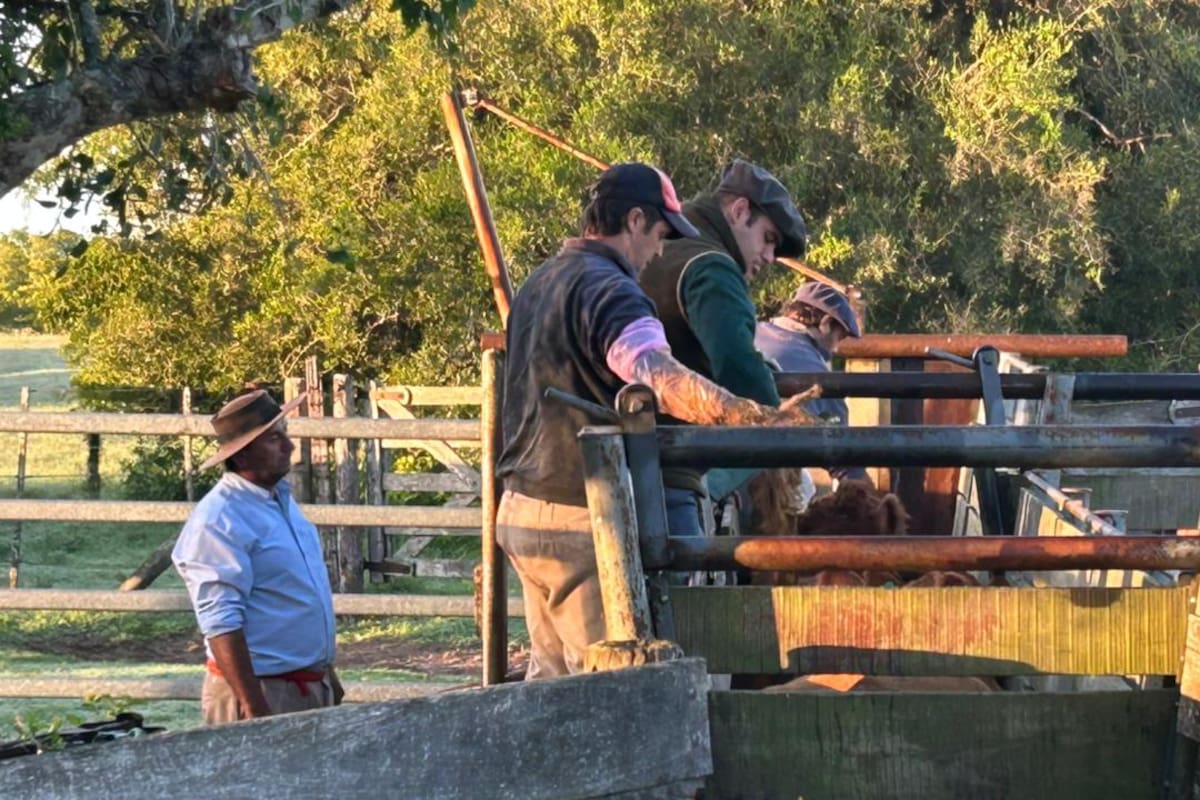 Frenar la resistencia antimicrobiana no depende de una sola acción, sino de una alianza entre ciencia, producción y conciencia