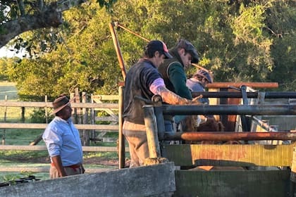 Frenar la resistencia antimicrobiana no depende de una sola acción, sino de una alianza entre ciencia, producción y conciencia