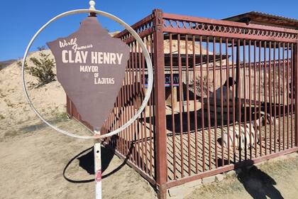 Frente a la tienda general se encuentra la alcaldesa actual de la ciudad: la cabra Clay Henry