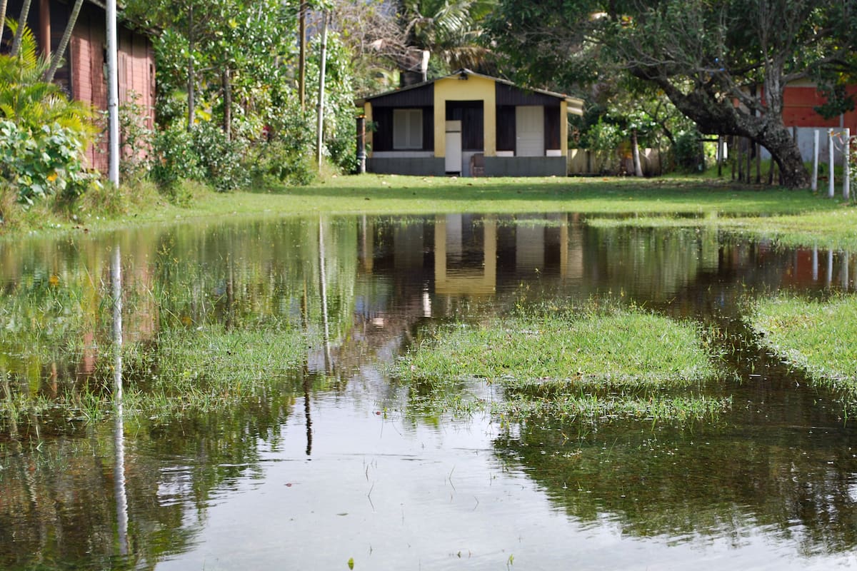 Frente a las fuertes y cada vez más frecuentes tormentas que azotan los barrios de CABA y la Provincia de Buenos Aires, trucos para que no se te inunde el parque de tu casa