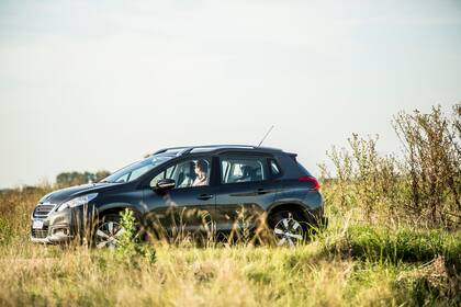 Frente a las opciones de veraneo más tradicionales, las estancias son tendencia para escapar de las multitudes y tener un respiro de la ciudad.