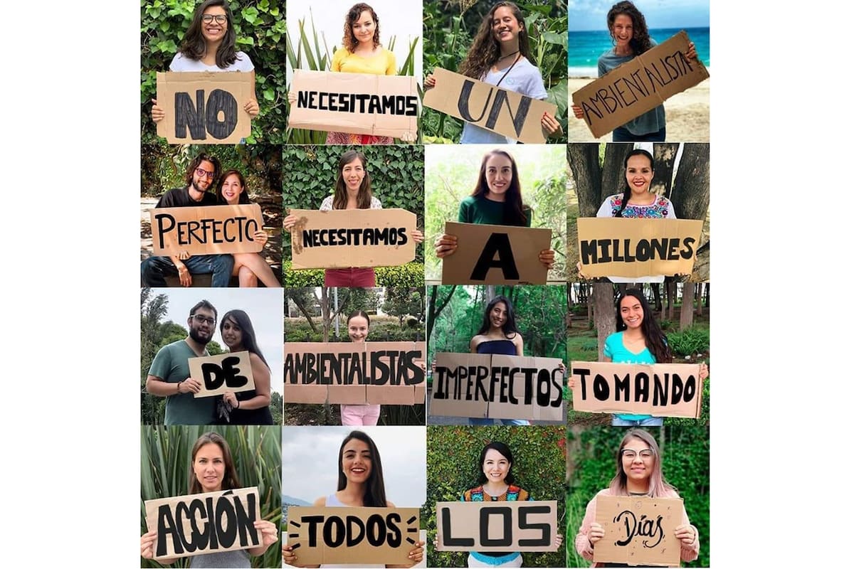 Frente a los discursos vacíos, la salida está en la figura del "ambientalista imperfecto": aquel que simplemente elige una causa y aporta lo que está a su alcance