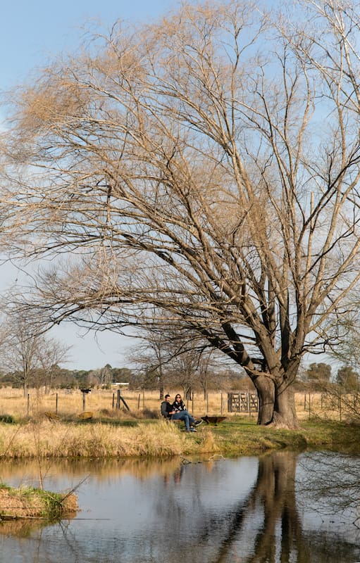 Frente a una laguna y rodeado de eucaliptos, el lugar abre sólo los fines de semana