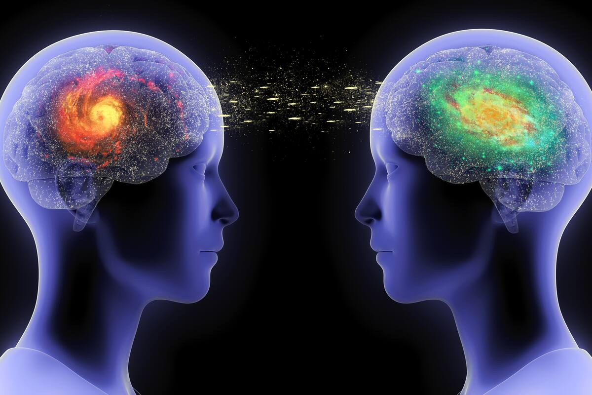 Frente al gran caudal de información que se recibe y para el cual el cerebro no está preparado, aparecen respuestas de estrés, miedo y otras emociones similares que ponen de manifiesto el “desajuste evolutivo” que vive este órgano esencial