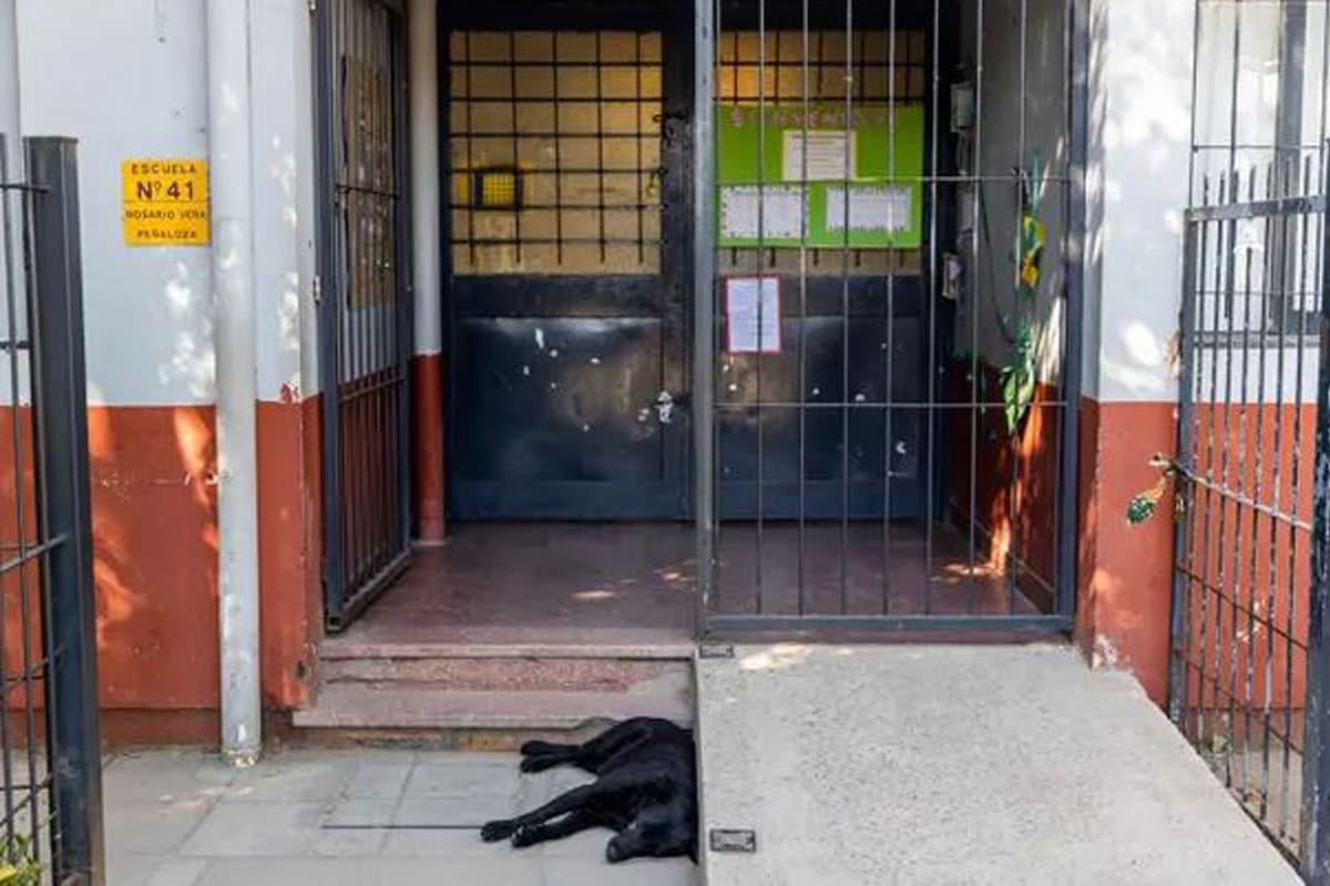 Frente de la escuela