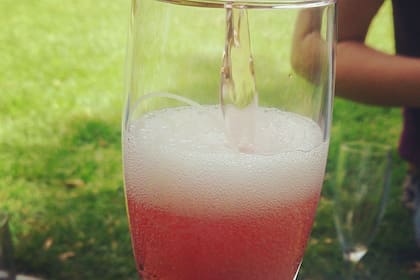 Frosé de vino rosado
