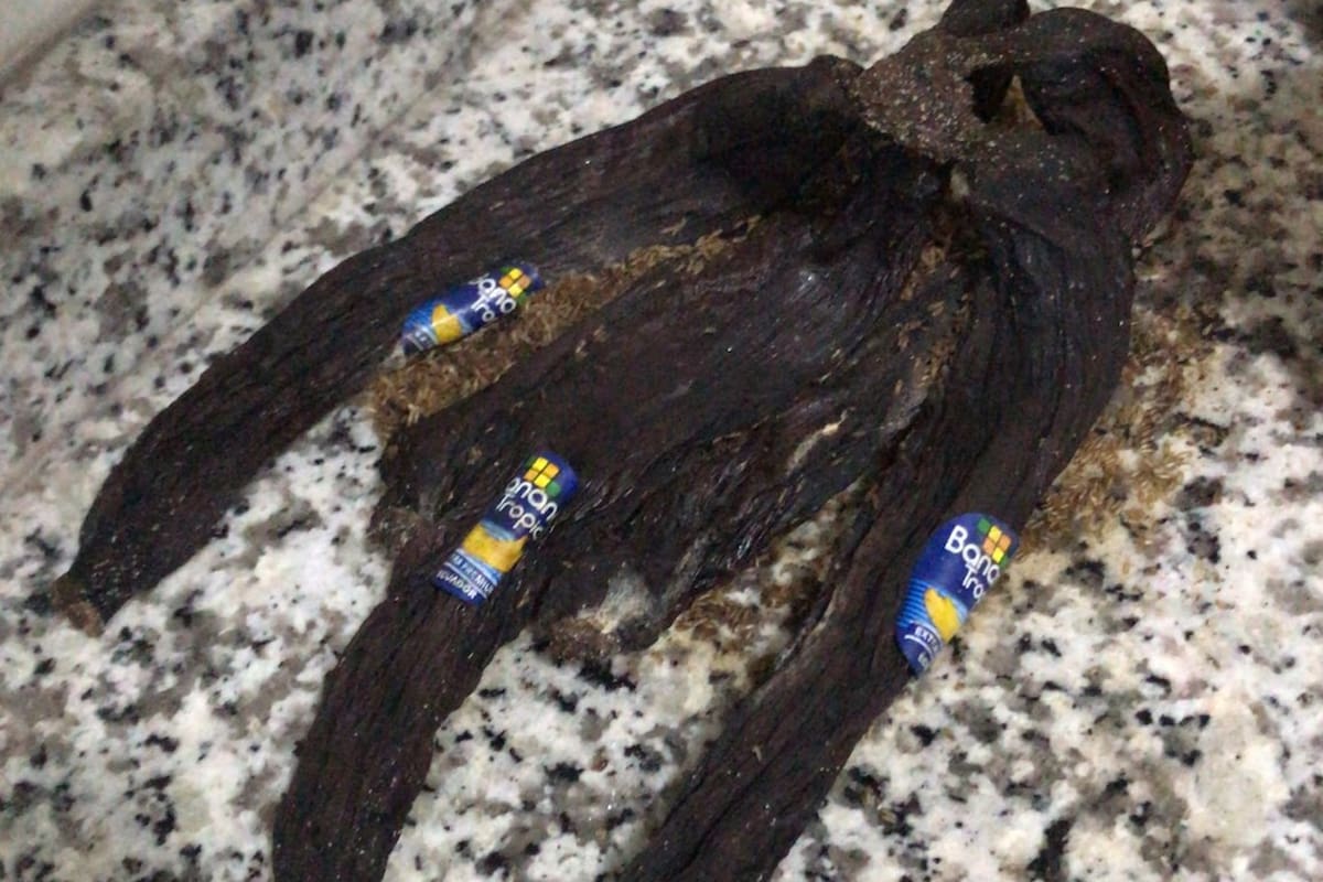 Frutas podridas, mates con su contenido irreconocible, cafeteras con la infusión llena de hongos, fueron tan solo algunas de las cosas que encontraron los trabajadores al visitar sus oficinas, luego de varios meses abandonadas a causa de la pandemia