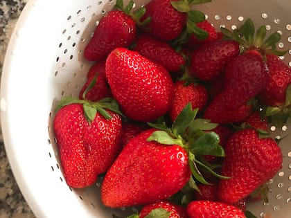 Frutillas