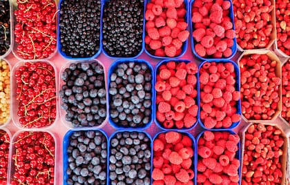 Frutillas, frambuesas, arándanos, moras y cerezas conforman la familia de frutos rojos