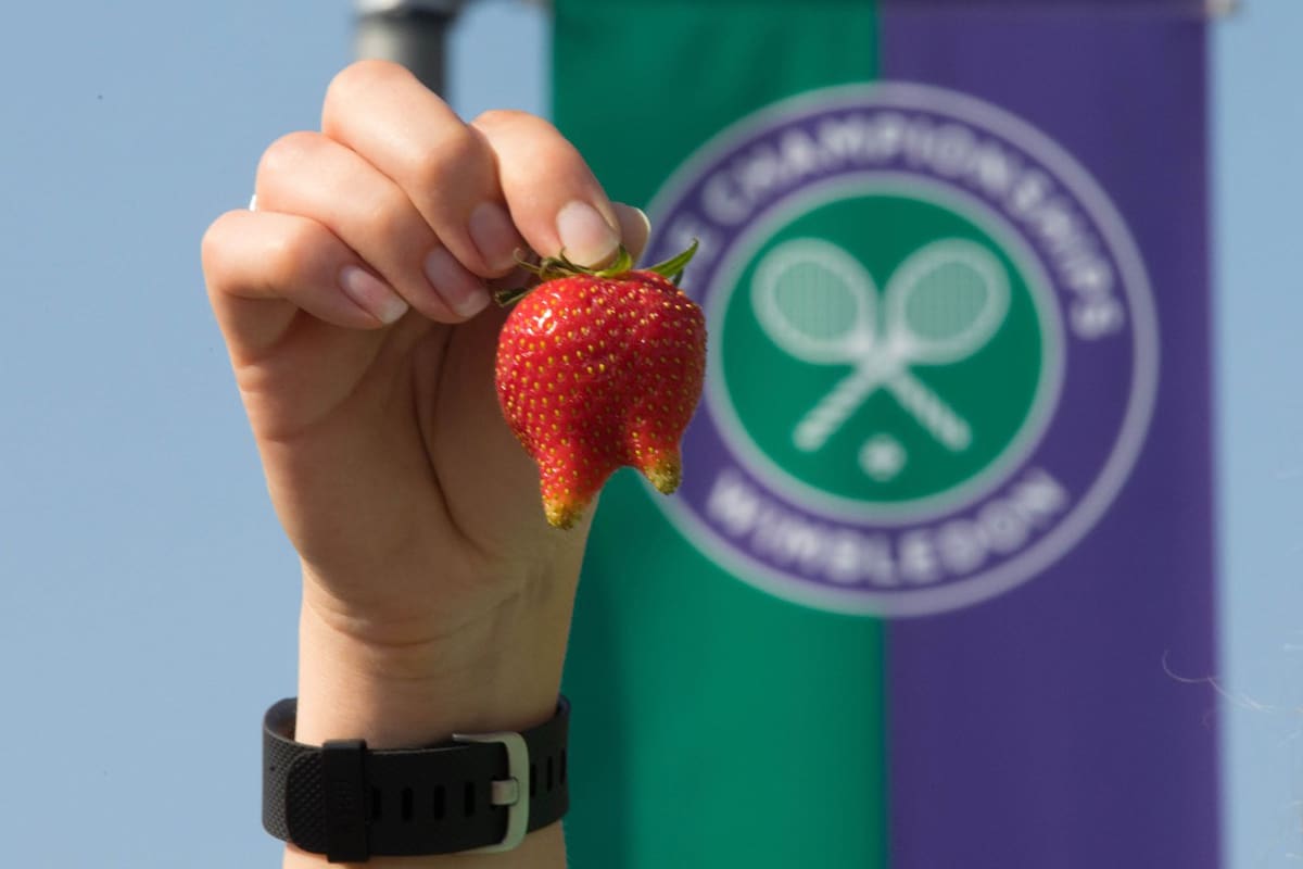 Frutillas rechazadas por ser "deformes"
