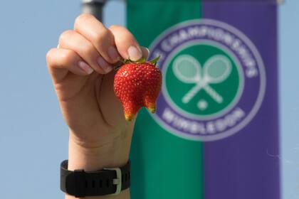 Frutillas rechazadas por ser "deformes"