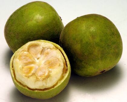 Frutos del monje, un endulzante natural