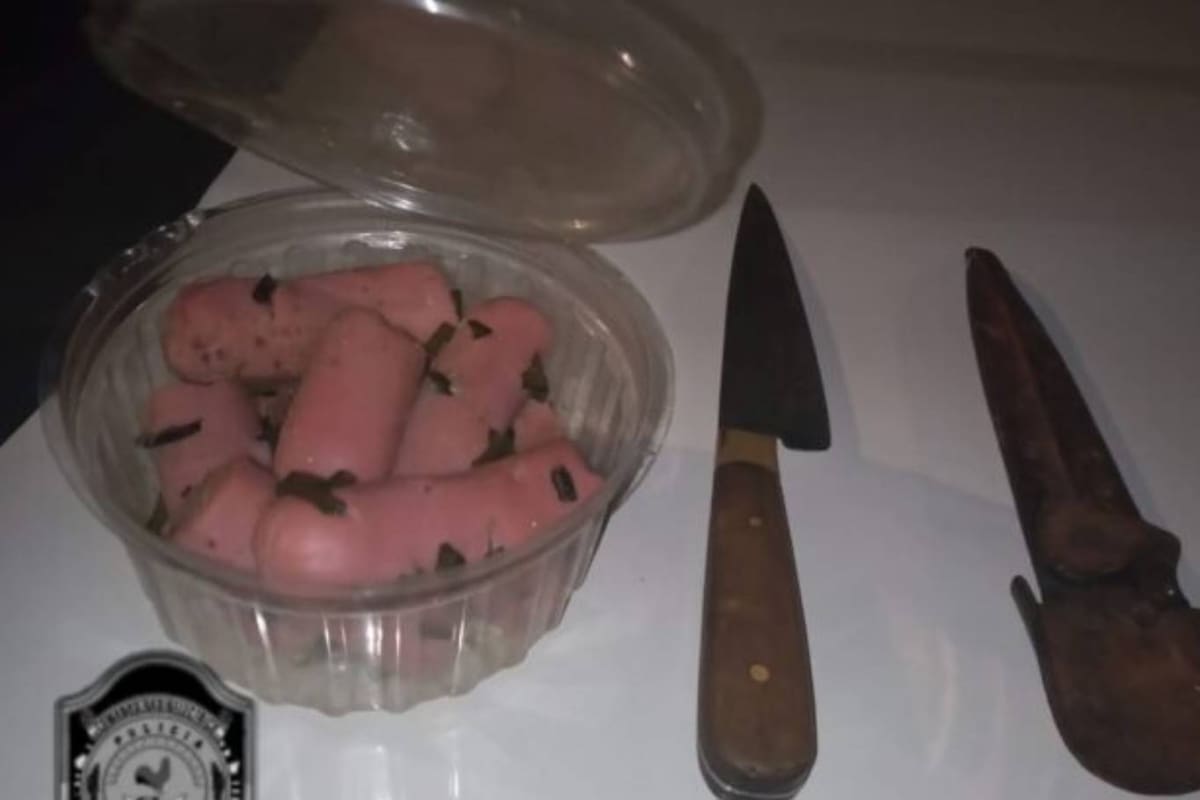 Fue en un barrio de Posadas, donde dos jóvenes fueron atrapados por la policía mientras merodeaban viviendas. Se sospecha que usaban salchichas con vidrios para matar a los perros guardianes.