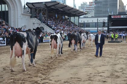 Fue jurado en la Exposición Rural de Palermo