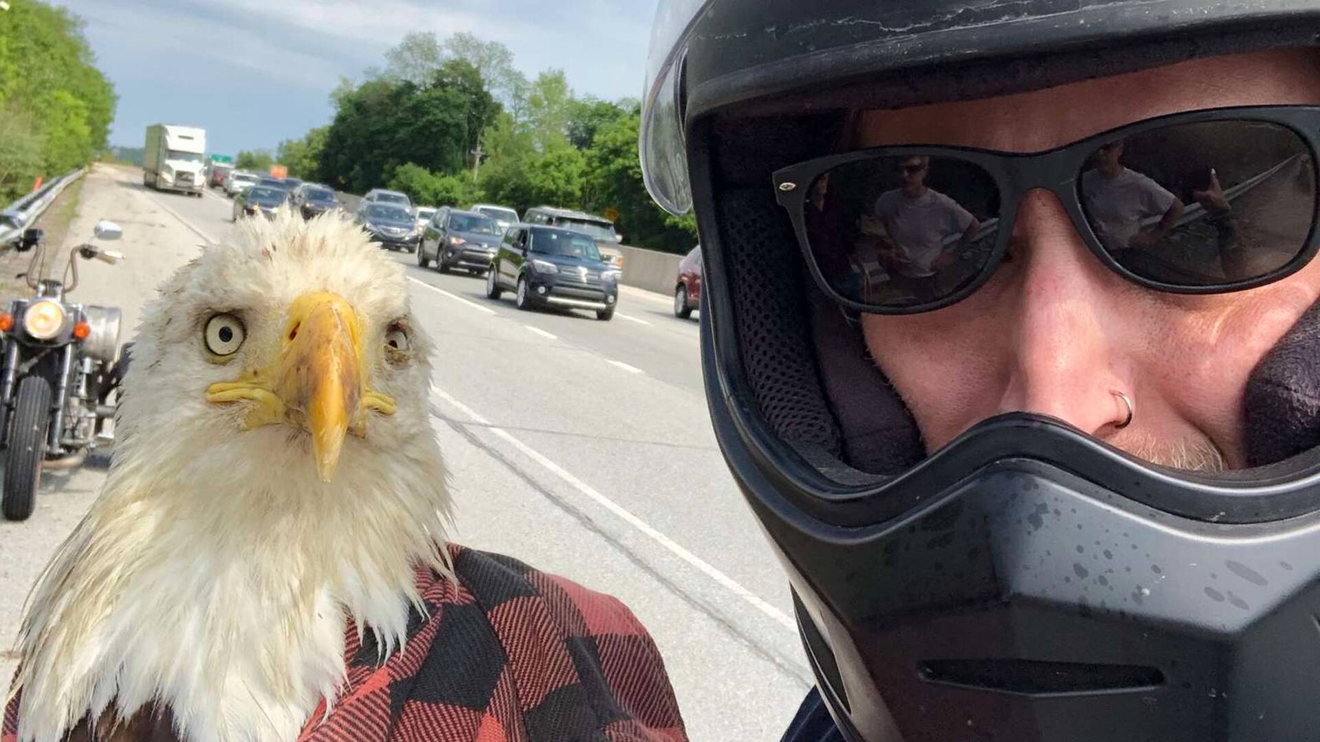"Fue simplemente increíble sostener a ese pájaro y que estuviera tan tranquilo”.
