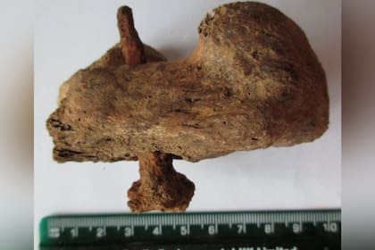 Fue un hallazgo "casi único", dijeron varios arqueólogos que han tenido acceso a las excavaciones