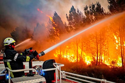 Esta foto facilitada el viernes 15 de julio de 2022 por los bomberos de la región de la Gironda (SDIS 33) muestra a los bomberos utilizando mangueras para combatir un incendio forestal cerca de Landiras, en el suroeste de Francia, el jueves 14 de julio de 2022.