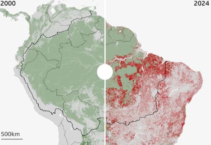 Fuente: RAISG, Global Forest Watch