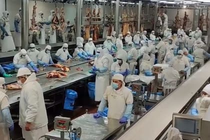 Fuentes del Senasa informaron a LA NACION que el levantamiento de la suspensión sería “inminente”