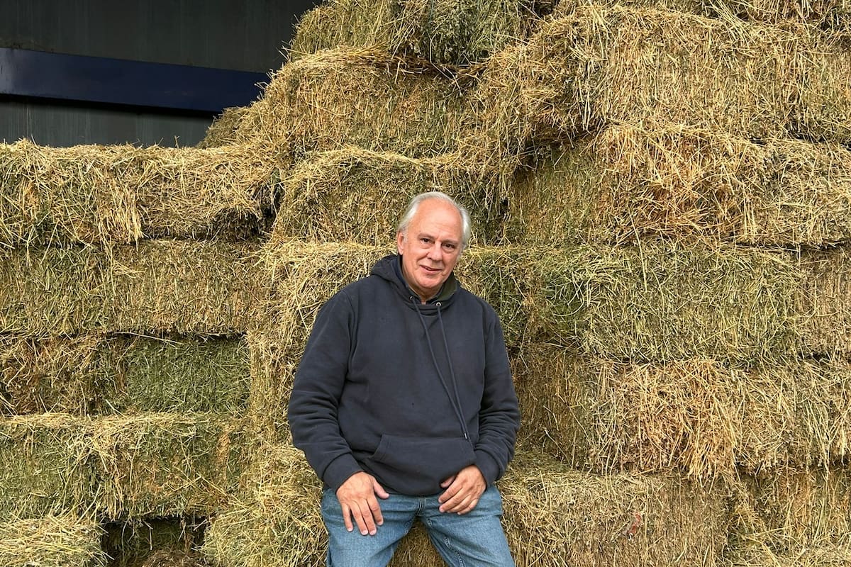 Fuera de los clientes particulares como la gente del polo, por año Silveyra provee a las exposiciones alrededor de 40.000 paquetes de viruta, unos 4000 fardos de alfalfa y algo de avena. Además vende 10.000 fardos de paja