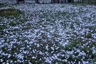 Un violento fenómeno con mucho granizo mató a decenas de animales y dejó graves daños