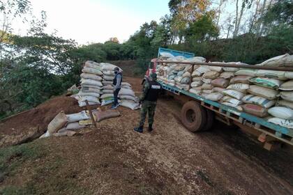 Fueron 17 toneladas y media de granos de soja, divididas en 351 bolsas de arpillera, las que logró secuestrar la Prefectura en Misiones