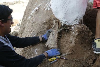 Fueron advertidos por vecinos que caminaban por la playa