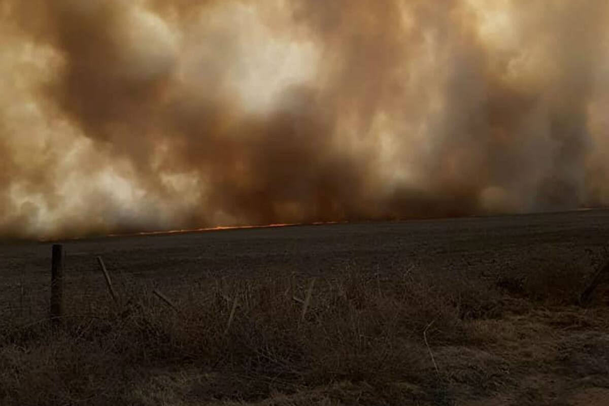 Fueron afectadas 450 hectáreas de rastrojos