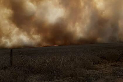 Fueron afectadas 450 hectáreas de rastrojos